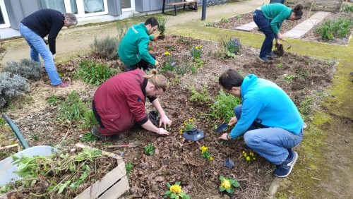 « Chantier nature » avec Truffaut